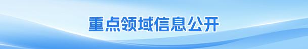 重点领域信息公开
